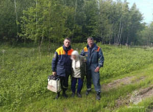 В лесу под Низовкой спасатели нашли 87-летнюю женщину, которая не могла выбраться самостоятельно