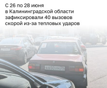 Дефицит бензина в Калининграде: ажиотаж на АЗС не спадает, число покупателей выросло в полтора раза