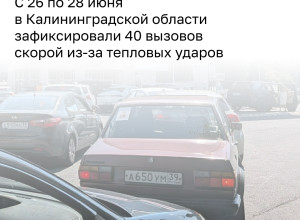 Дефицит бензина в Калининграде: ажиотаж на АЗС не спадает, число покупателей выросло в полтора раза