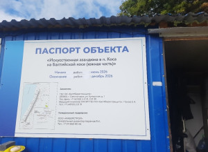 На Балтийской косе стартовали работы по восстановлению авандюны