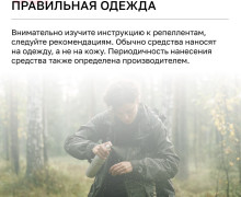 С начала года более 4 тысяч жителей Калининградской области обратились к врачам из-за укусов клещей