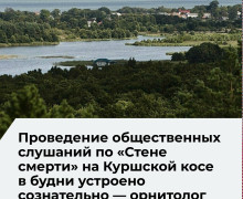 Мухин: дата слушаний по гостинице на Куршской косе выбрана для затруднения участия