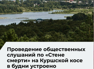 Мухин: дата слушаний по гостинице на Куршской косе выбрана для затруднения участия
