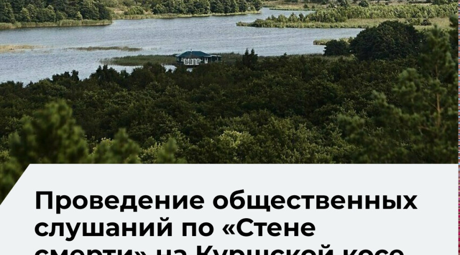 Мухин: дата слушаний по гостинице на Куршской косе выбрана для затруднения участия