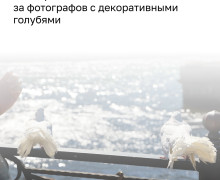 В Калининграде на острове Канта пресекли нелегальную фотосъёмку с голубями