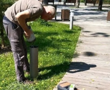 В Зеленоградске вандалы повредили фонари в сквере «Вектор»