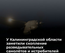 У границ Калининградской области зафиксирована активность сил НАТО