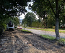 На проспекте Победы в Калининграде продолжили ремонт тротуара: жители обеспокоены сохранностью деревьев