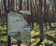 На Куршской косе обновили информационные стенды в Танцующем лесу