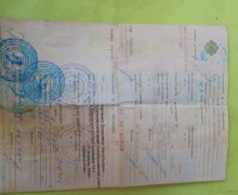 Nissan Micra, 