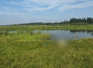 В Черняховске следователи выясняют обстоятельства гибели женщины в реке