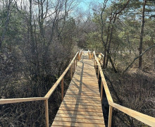 На Куршской косе построили новый переход через авандюну для защиты песчаного вала