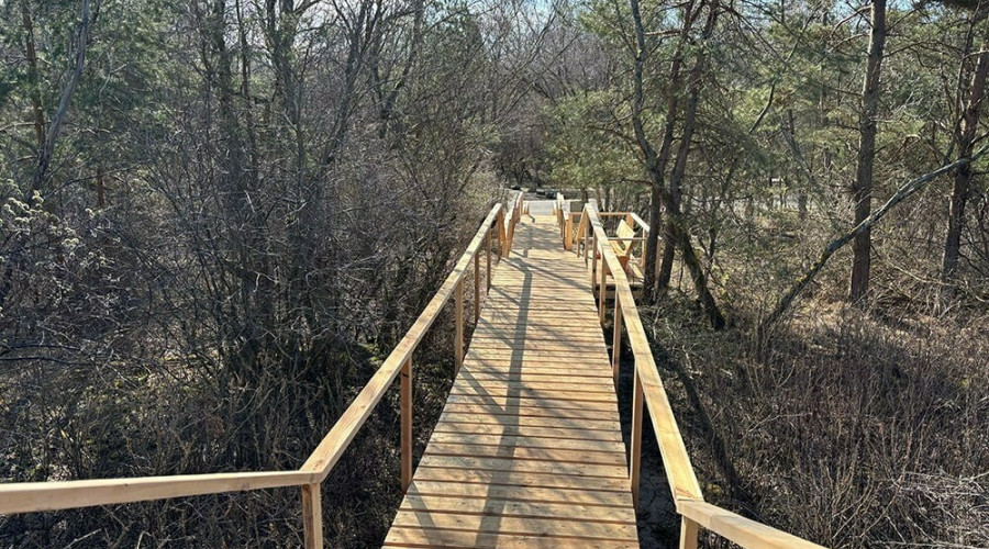 На Куршской косе построили новый переход через авандюну для защиты песчаного вала