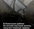 Житель Полесского района пострадал при заготовке дров из-за падения ветки