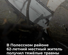 Житель Полесского района пострадал при заготовке дров из-за падения ветки