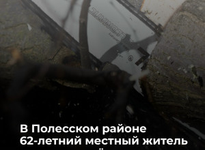 Житель Полесского района пострадал при заготовке дров из-за падения ветки