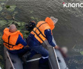 В Калининграде мужчина утонул в Преголе после прыжка с набережной Октябрьского острова