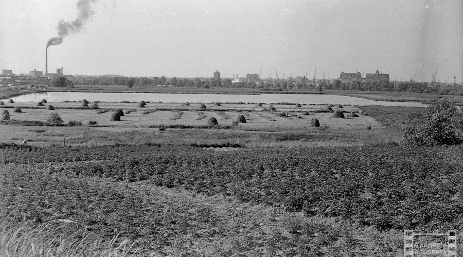 Калининград в 1970-х: фотографии из архива Альберта