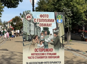 В Зеленоградске предупредили о навязчивой услуге с голубями на Курортном проспекте