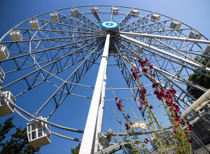 Парк «Юность» в Калининграде получил предостережение Роспотребнадзора из-за шума