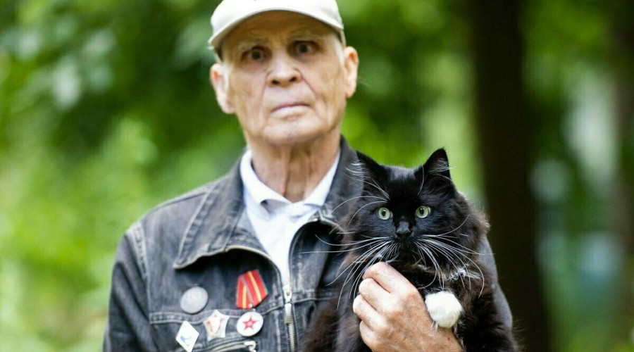 На улице Багратиона живёт знаменитый кот Васенька