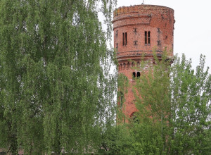 Мамоново: городской памятник, башня и атмосфера уюта