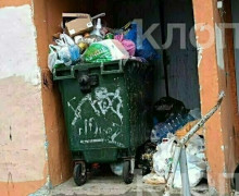 Вонь и насекомые: 6 мест в Калининграде, где в борьбе за место под солнцем выиграл мусор