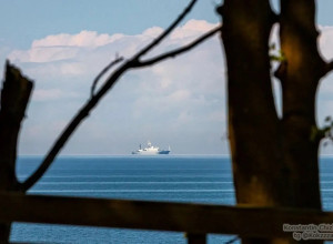 Страж: история одного памятника в Калининграде