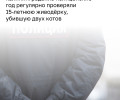 Подросток из Калининграда, убившая котёнка, состояла на учёте после расправы над кошкой