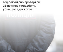 Подросток из Калининграда, убившая котёнка, состояла на учёте после расправы над кошкой