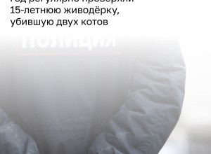 Подросток из Калининграда, убившая котёнка, состояла на учёте после расправы над кошкой