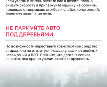 В Калининградской области объявлен режим повышенной готовности из-за штормового ветра до 32 м/с