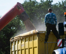 В Калининградской области идёт активная уборочная кампания