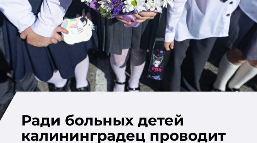 В Калининграде растёт число благотворительных проектов, инициированных местными жителями