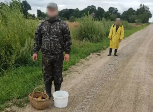 В Калининградской области спасатели вывели из болота двух заблудившихся мужчин