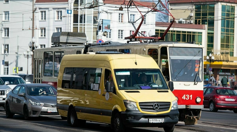 В Калининграде утверждены новые стандарты работы общественного транспорта