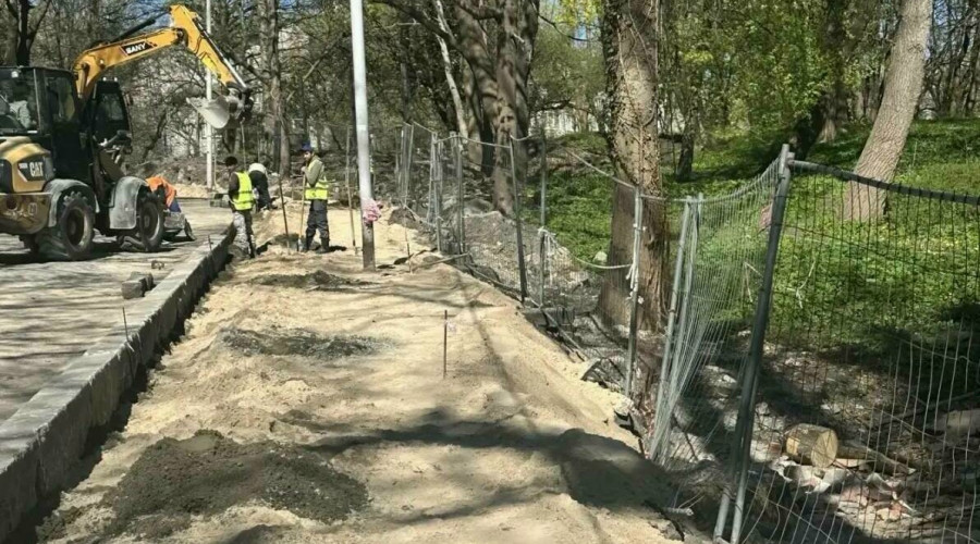 В Калининграде строители повредили фундамент и деревья в парке на Галицкого