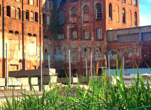 Улица Ялтинская в Калининграде: фоторепортаж с окраины