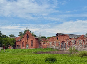Конезавод Цвион в Калининградской области: состояние и обитатели