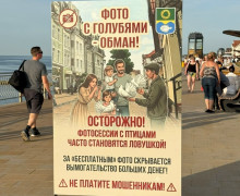 В Зеленоградске установили баннеры с предупреждением о платных фото с голубями