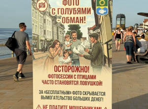 В Зеленоградске установили баннеры с предупреждением о платных фото с голубями