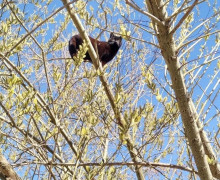В Калининград прибыли корабли Балтийского флота после выполнения задач