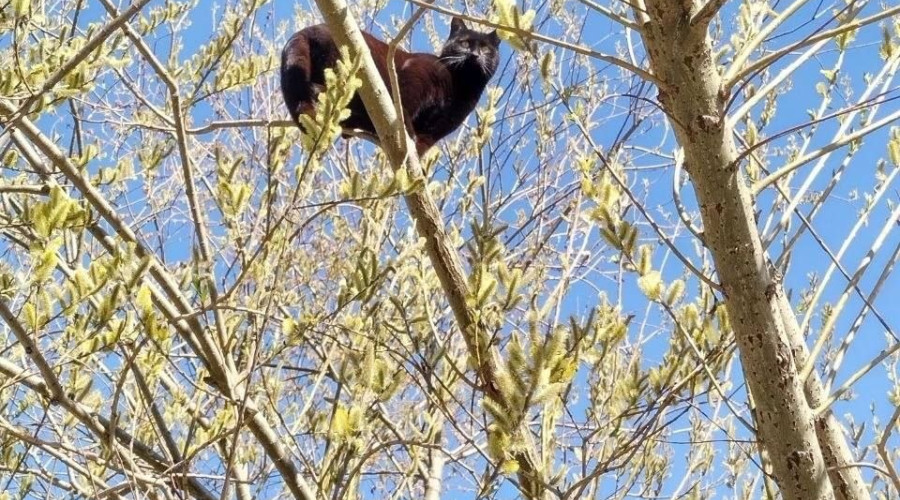 В Калининград прибыли корабли Балтийского флота после выполнения задач