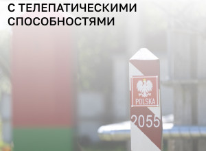 На пункте пропуска «Мамоново II — Гжехотки» задержан россиянин, пытавшийся въехать в ЕС с ложными сведениями о виде на жительство