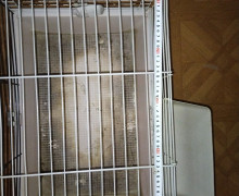 Продам всё что на фото