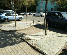В Калининграде газоны защищают от птиц нетканым материалом