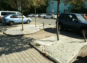 В Калининграде газоны защищают от птиц нетканым материалом