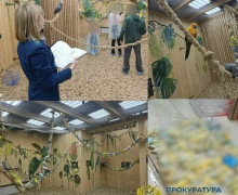 В московском антикафе нашли морозильную камеру с погибшими птицами