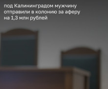 Жителя Гурьевского района осудили за хищение восьми смартфонов у маркетплейса