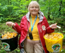 В Черняховском округе собирают лисички ведрами и встречают краснокнижные грибы